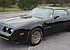 1981 Pontiac Firebird for sale 101107192